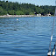 Mooring buoys at Illahee State Park