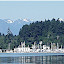 Brownsville Marina with Olympics behind