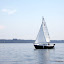 Braveheart sailing in light air