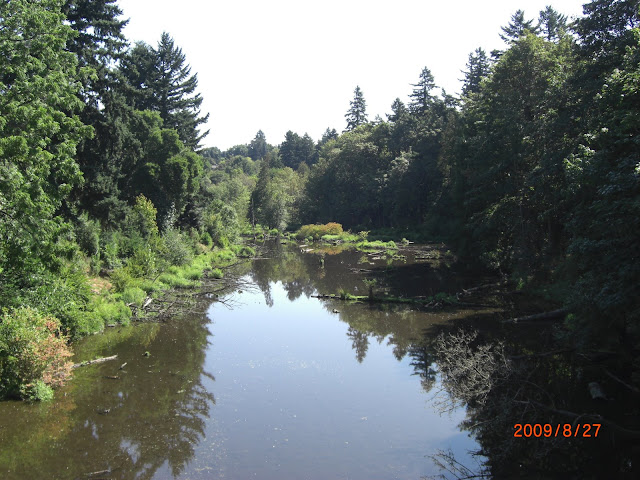This is the lake that is on campus.  The lake is at the North end of a canyon that runs through the middle of the college grounds.