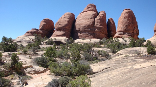 [DSC023204.jpg]
