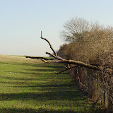 Sole Street Circular Walk