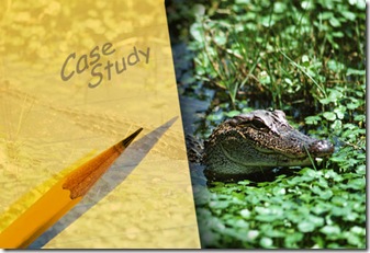 case_study case_study