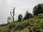 Everest & Langtang Trekking  Slideshow