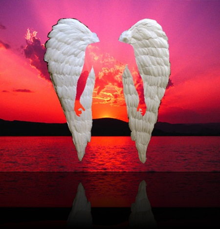 Water Wings XVIIa