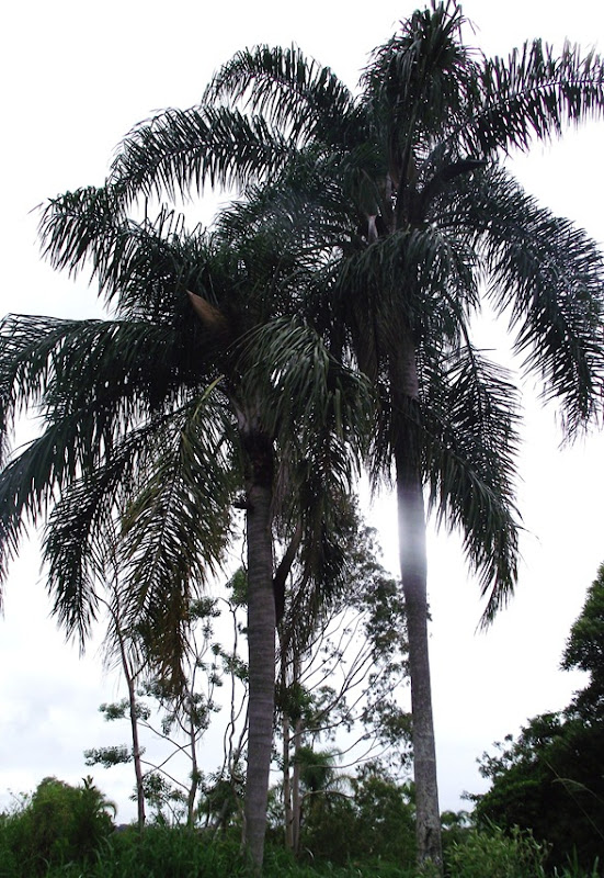 DSCF1957