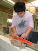 hout_L6_0910 (1).JPG
