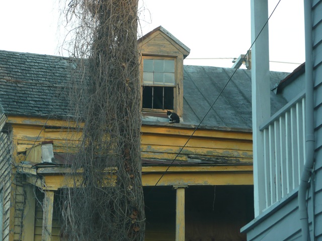 [P10305692.jpg]