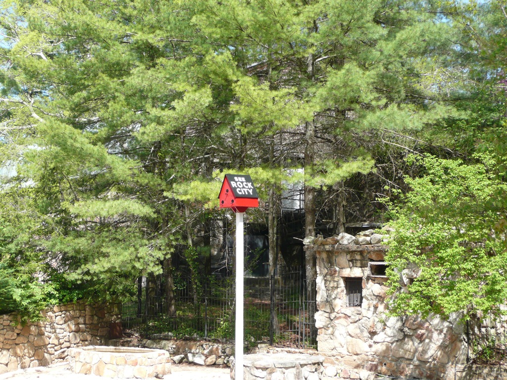 [P10803313.jpg]