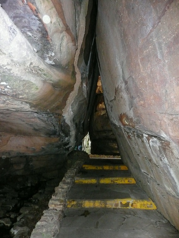 [P1080450[3].jpg]
