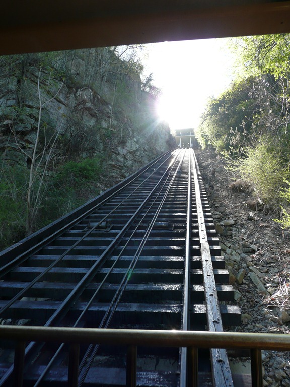 [P1080623[3].jpg]