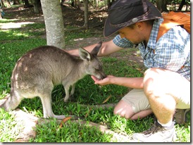 Sneaking a pet while the Red Kangaroo eats our of my hand.  We won't tell him what my hat is made of....... (click to enlarge)