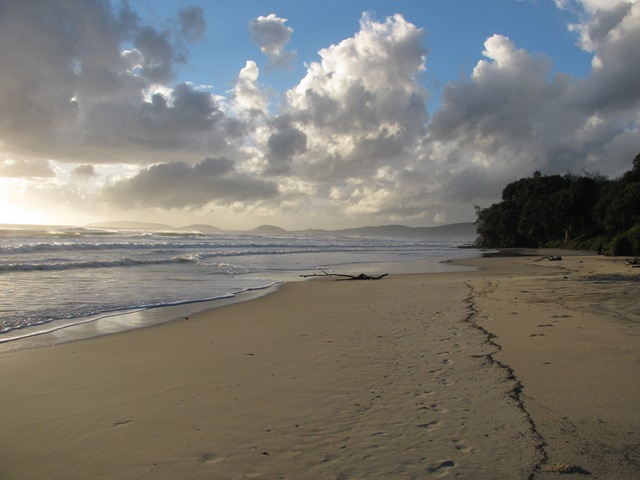 [IMG_69104.jpg]