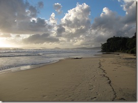 A beautiful beach Rainbow Beach, but no rainbow sands to be seen (click to enlarge)
