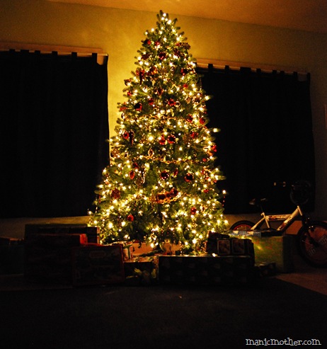 tree
