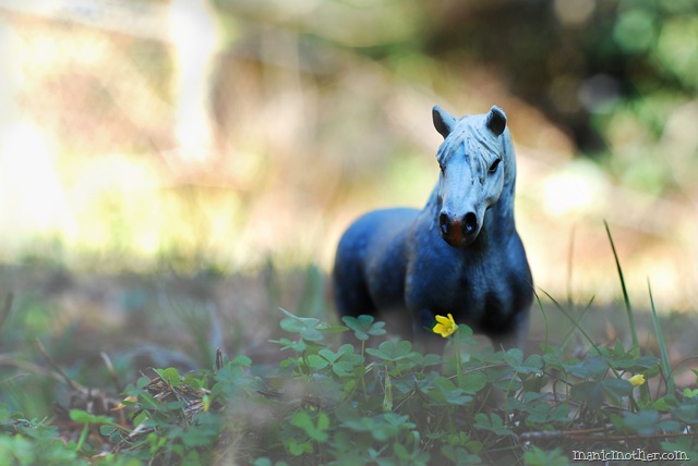[horsefog10.jpg]