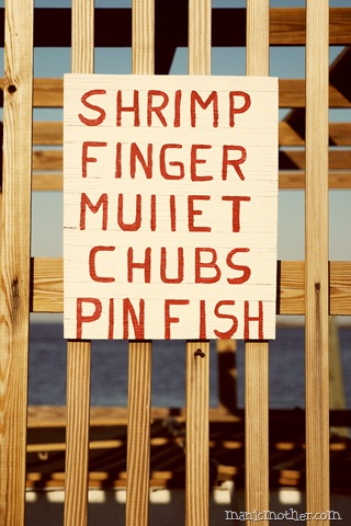[shrimp6.jpg]