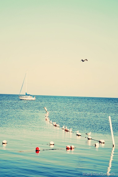 sea