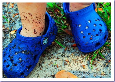 crocs