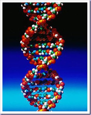 dna