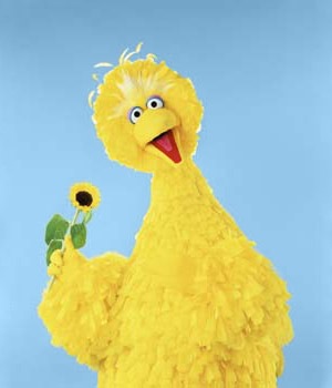 [Bigbird335.jpg]