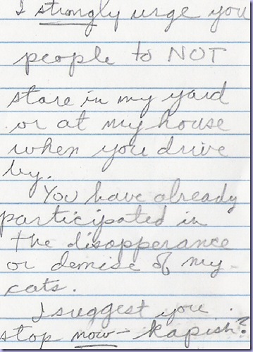 catladynote