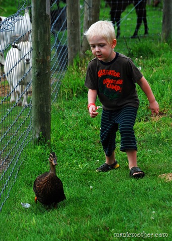 [roduck113.jpg]