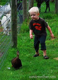 roduck1
