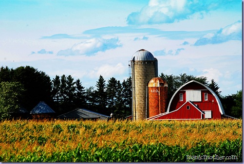 barn11