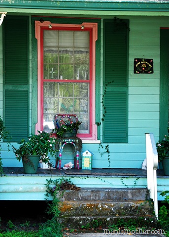 [micanopy185a4.jpg]