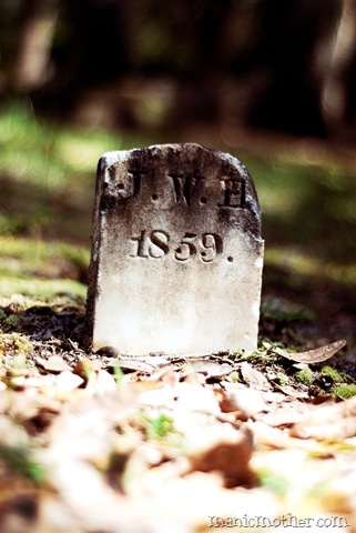 [micanopy203vin6.jpg]