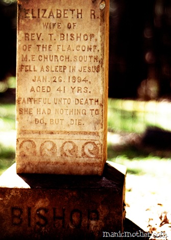 micanopy 325vc