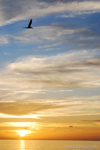sunset4