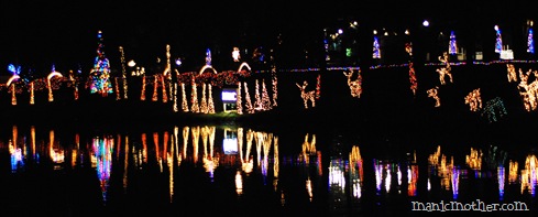 lights