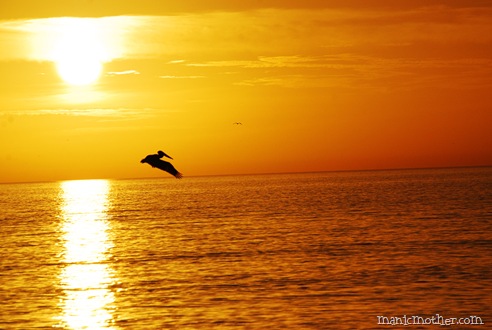 sunsett