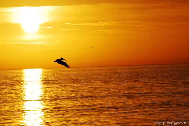 [sunsett[6].jpg]