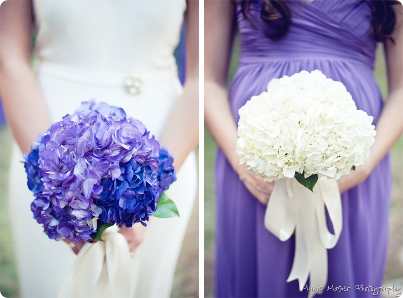 Gainesville wedding photographer