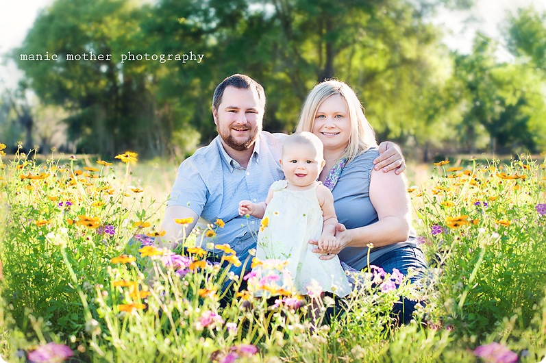 wildflower-family