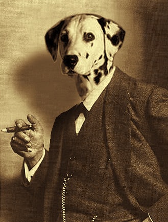 [sigmund-spot toned[6].jpg]