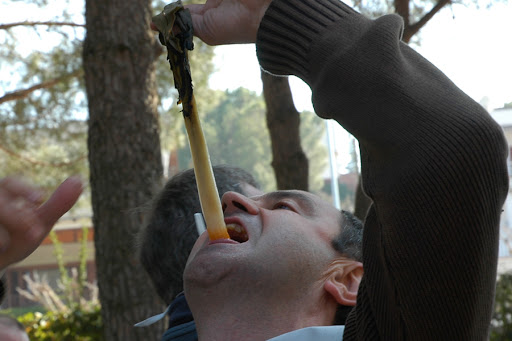 Kuk%C3%A7otada%20075.jpg