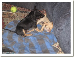 IMG_9698 IMG_9698