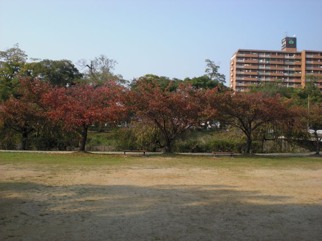 秋めいてきた石手川公園の風景