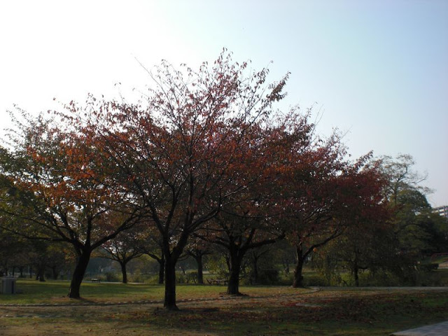 秋めいてきた石手川公園の風景