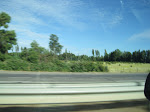 IMG_0059.JPG