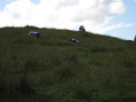 IMG_0069.JPG