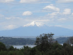 IMG_0086.JPG