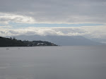 IMG_0115.JPG