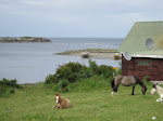 IMG_0118.JPG