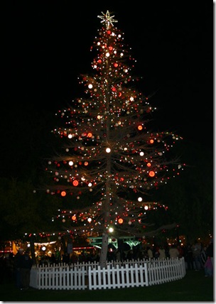 tree_17