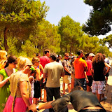 Festival Estival: la caminata medioambiental Festival Estival: la caminata medioambiental